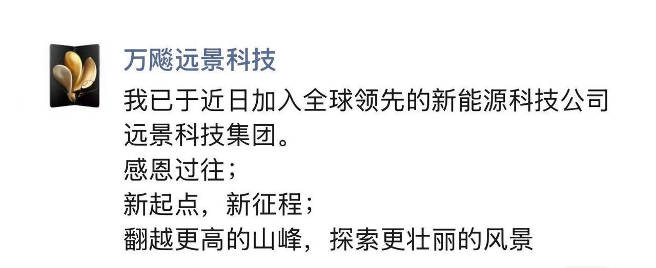 该公司车队曾拿下了FE电动方程式总冠军，入选《时代》2024年全球100家最具影
