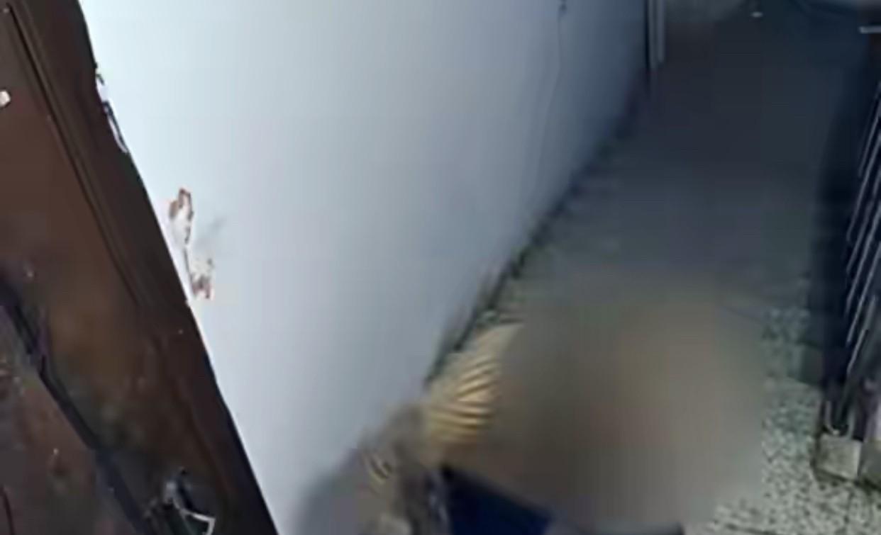 吉林刁先生一家遇到了烦心事，
自己楼下的邻居是精神病，
经常上楼打砸大门，
短短