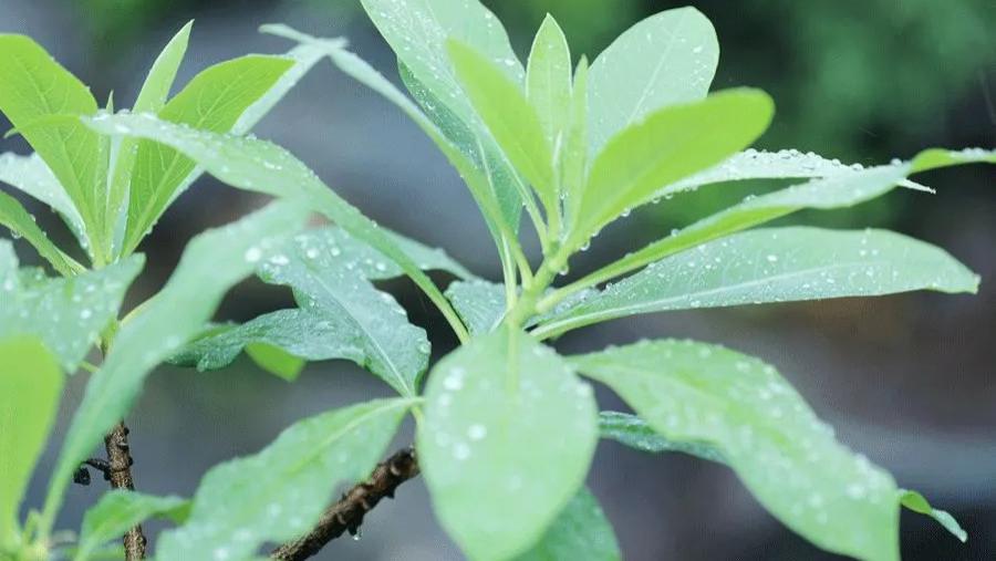 成功没有捷径，大器不怕晚成