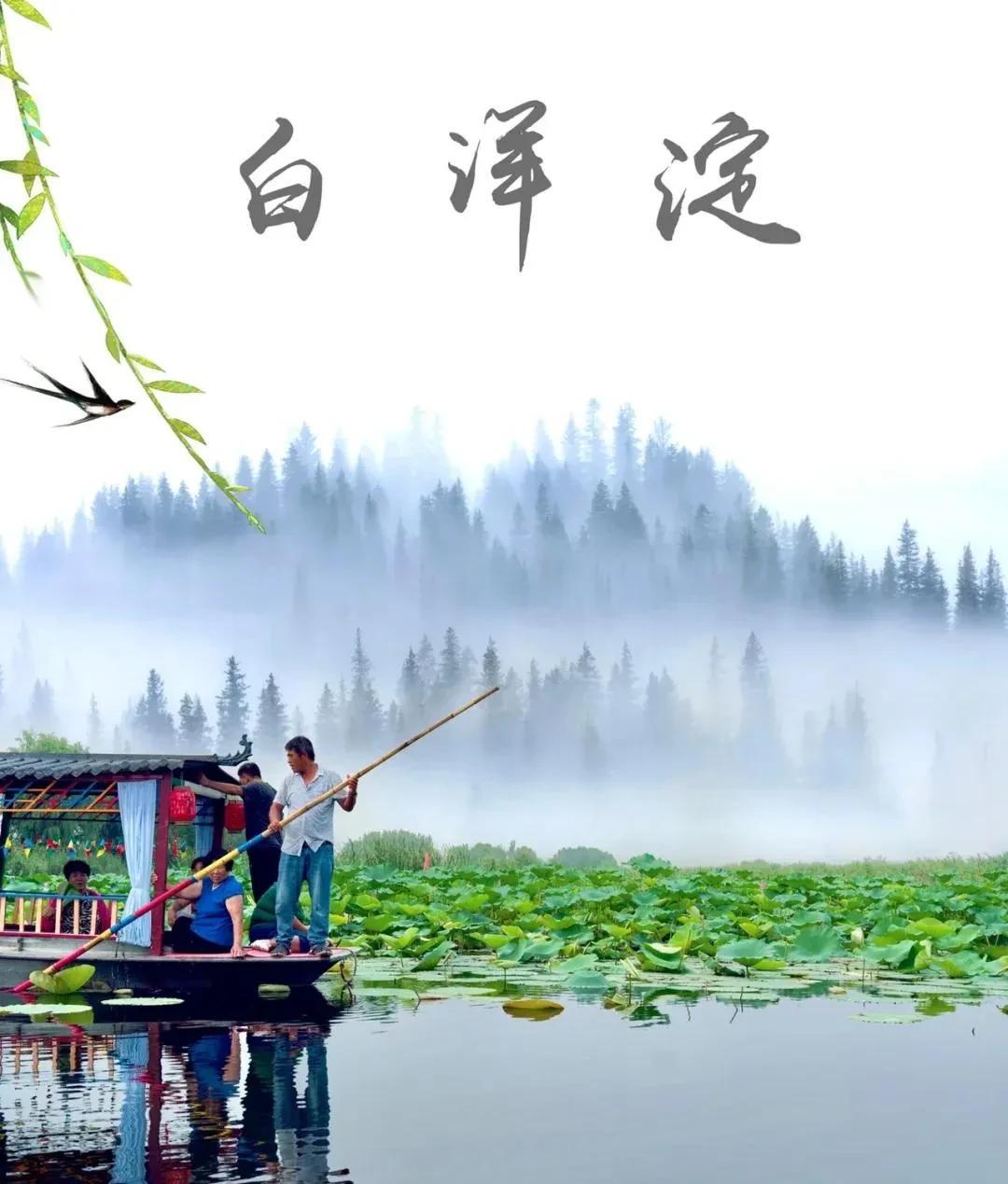 扎胎的终于刑拘了，游客也走光了！白洋淀为自己的狂妄付出代价！
白洋淀的现状是：往