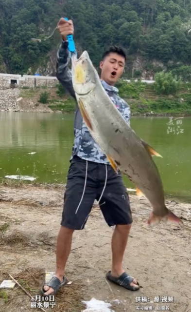 “命中注定！”浙江丽水，一名男子在桥下钓鱼时，钓到了一条足足40多斤重、1米7长