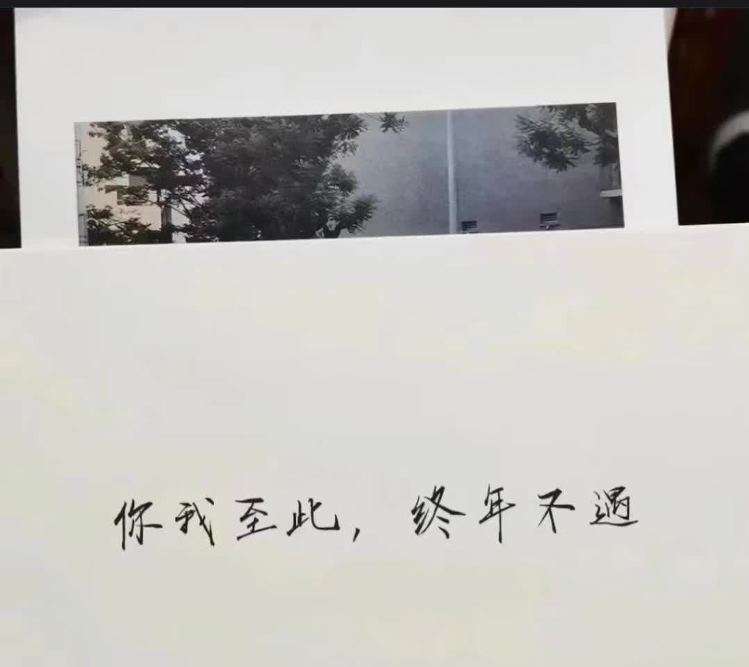 现在的人
到底怎么了？

做事都是那么不冷静的，一言不合上刀子。

近