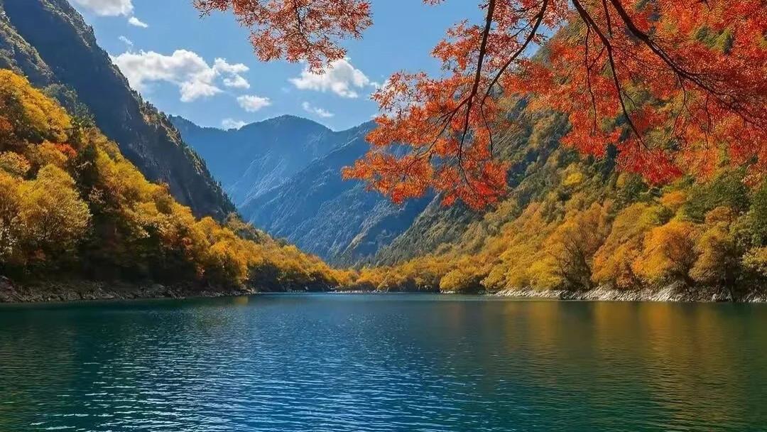 松坪沟免门票了！来邂逅“小九寨”的冬日童话与千年羌情