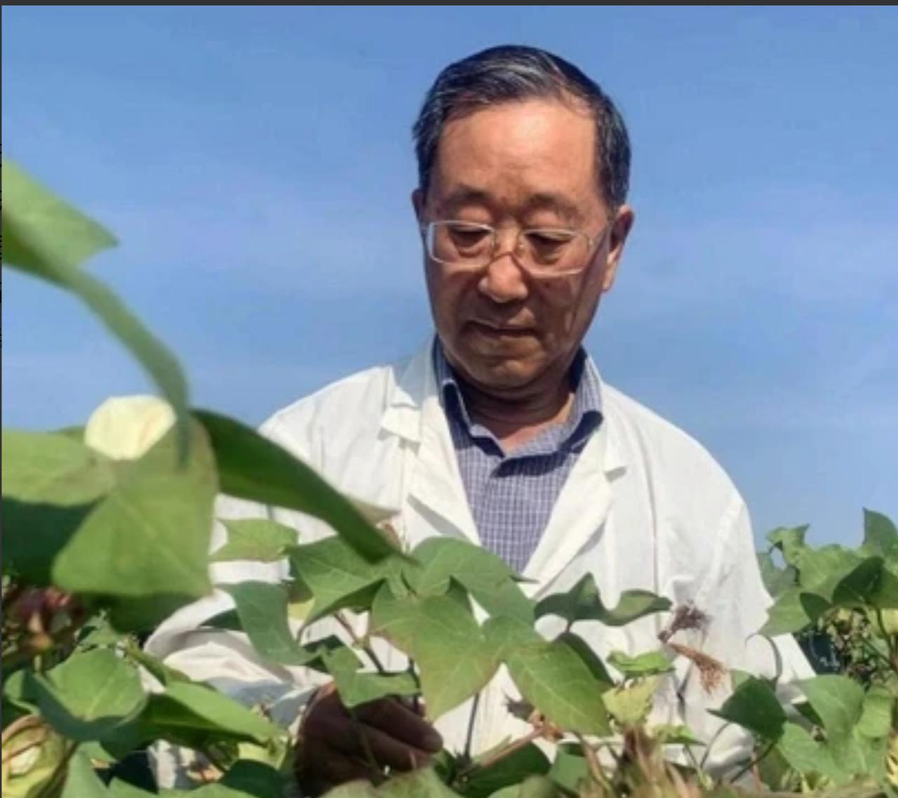 那些年，棉农们最熟悉的除了棉铃绽放的喜悦，还有背着喷雾器在烈日下喷洒农药的身影。