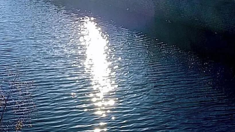 随笔：各有渡口，各自乘流