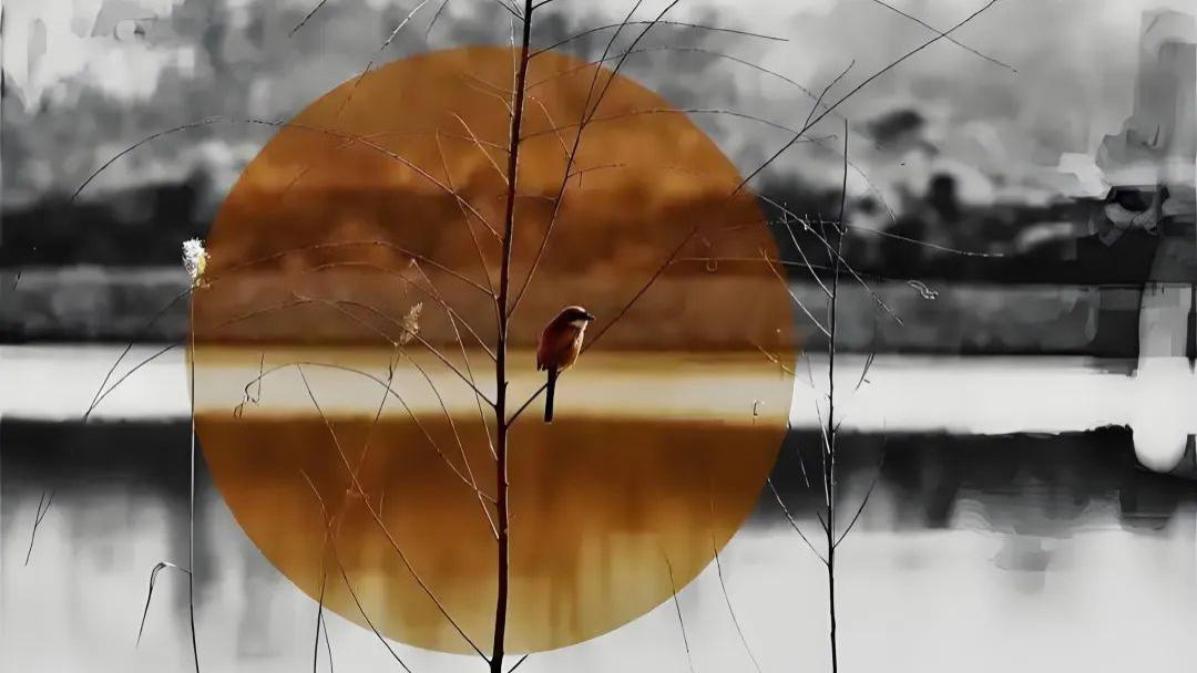 央视封神文案：一句支撑你很久的话