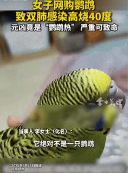 “倒大霉了！”河南郑州，一女子花50元在网上购买了只鹦鹉，没想到，收到货后的女子