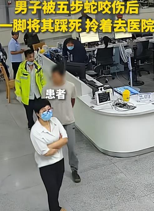 浙江一69岁男子被五步蛇咬伤后，一脚将其踩死，随后淡定的拎着蛇前往医院就医，当医