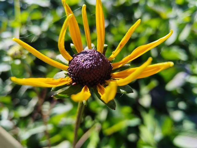 当孩子不想上学时，批评和讲道理不管用，不如试试接纳和反向策略