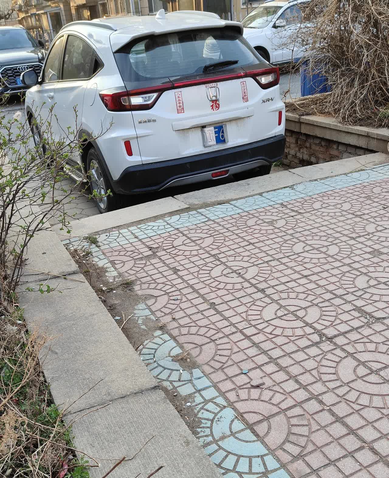 这个车主以后估计不会再这样停车了。
