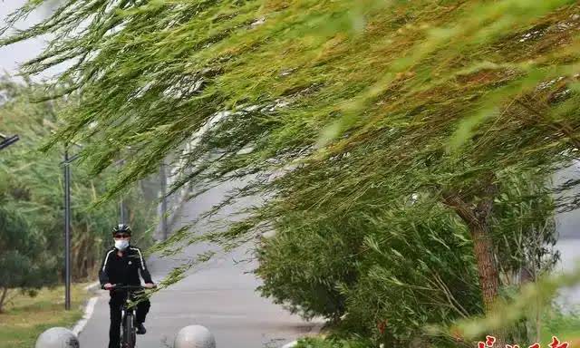 昨天3月27日，天气预报兑现了。下午大风如期而至，刮得树叶沙沙的响，如秋风扫落叶