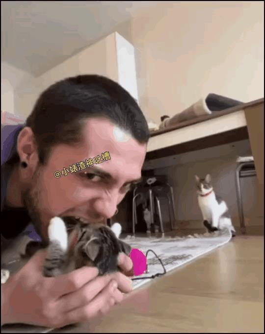 以身试母爱，挠你没商量。男子假装吞食小猫咪，母猫护子心切，以迅雷不及掩耳之势扑了