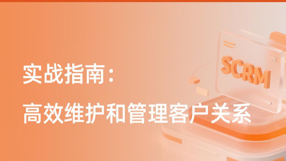 实战指南：高效维护和管理客户关系