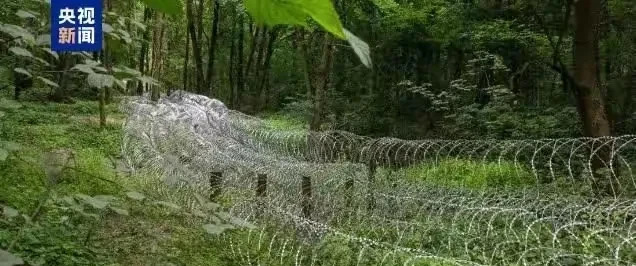 俄乌战火再燃，百姓为何沉默？











以色列和伊朗刚消停，俄罗斯又