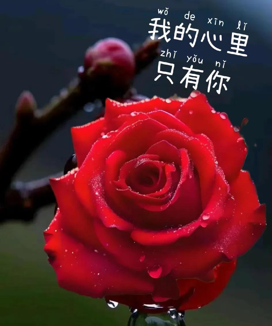 今生再难放下
日夜思念无尽头
相遇春风十里
情因你起
相守漫漫长夜
心为你痴
即