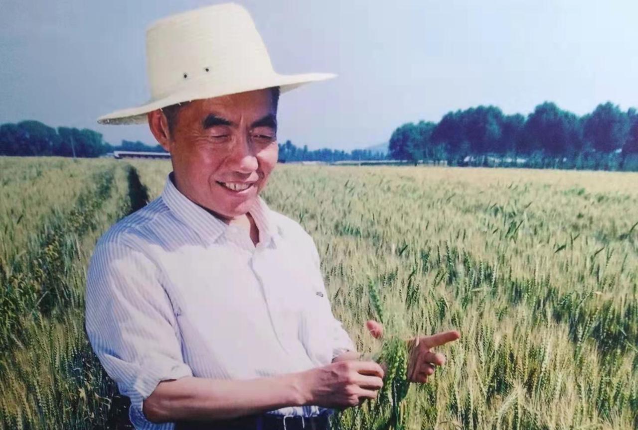 浩然曾在书中写道:“我写作不为别的，就是想告诉后人，几千年来单干的农民，是怎样被