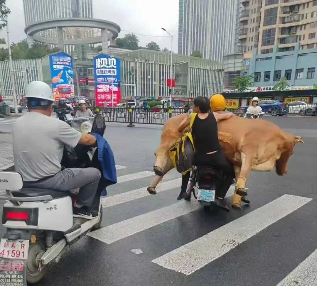 就问你这操作牛不牛！