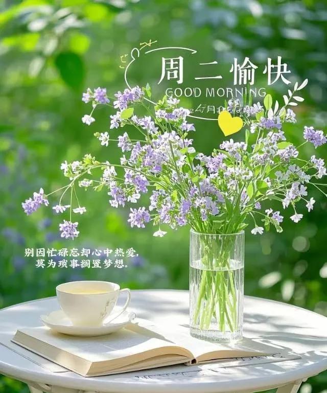 早上好，今天是6月3日星期二，距世联赛北京站的比赛还有一天。
中国女排参加世联赛
