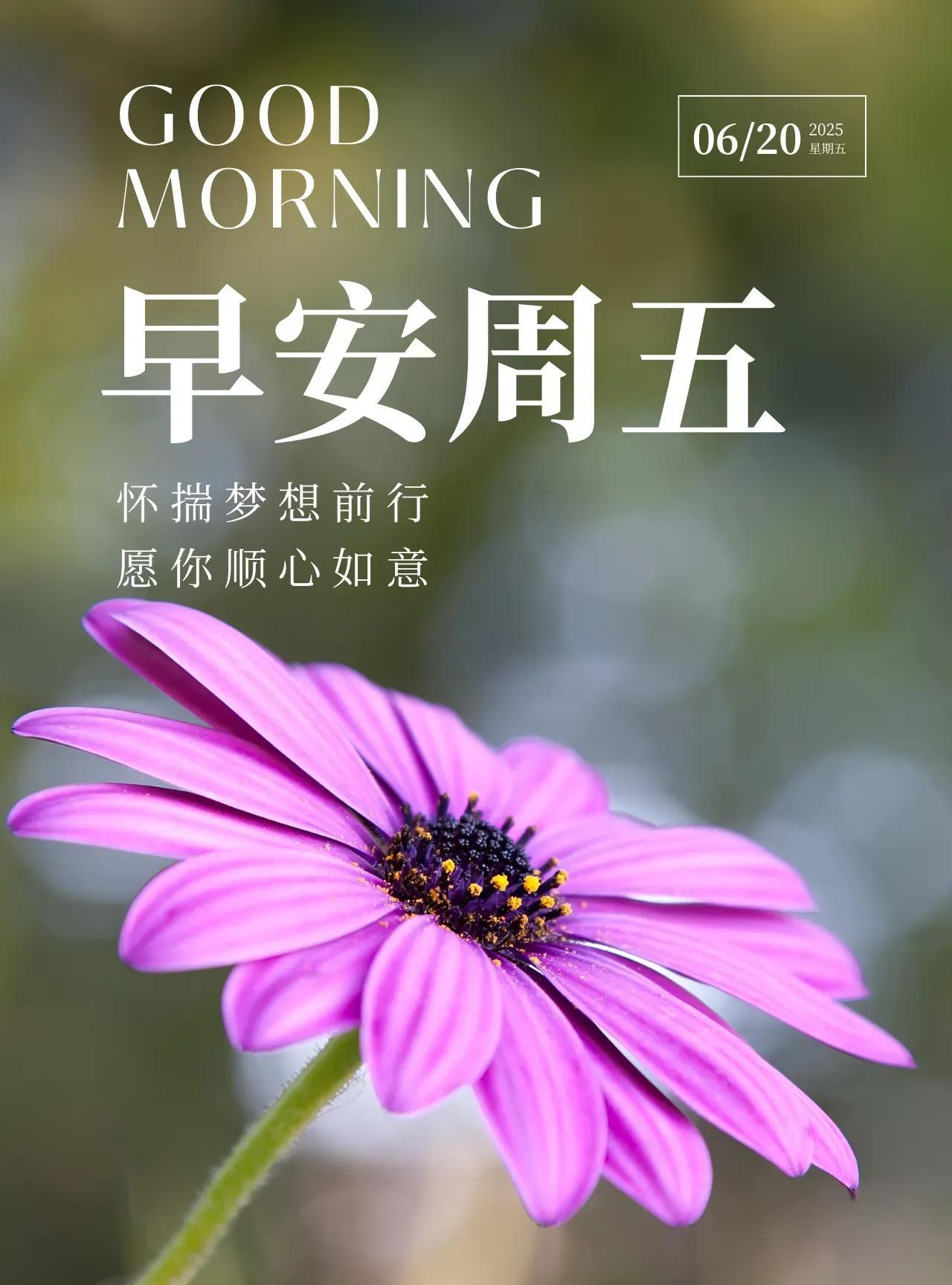新的一天，新的旅程。每一步都充满期待，带着希望，迎接清凉，这个夏季，愿你清凉顺遂