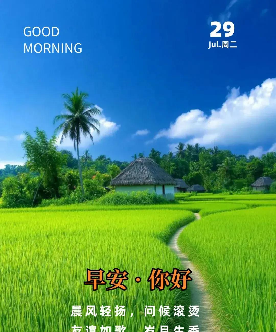 《鹧鸪天·惜缘》
朝露凝香润翠笺，晚风拂案涤尘烟。茶温恰似春江水，饭暖犹如暮野田