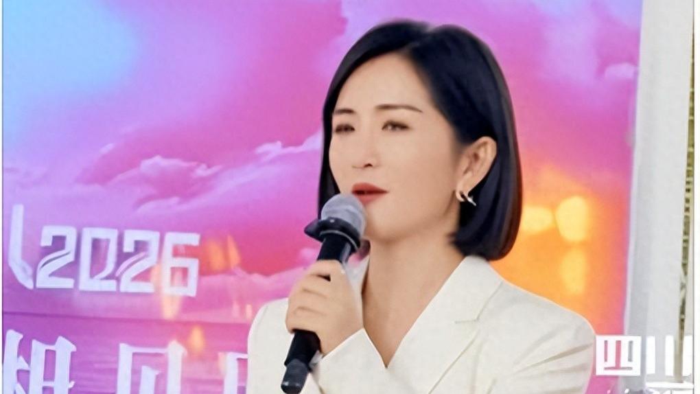 谢娜“乘风发布人”惊喜亮相，乘风舞台上的多彩“轮岗者”