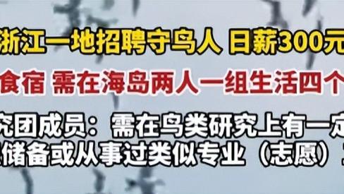 日薪300招“守鸟人”，管吃管住，要在海岛上住4个月，你愿意吗？