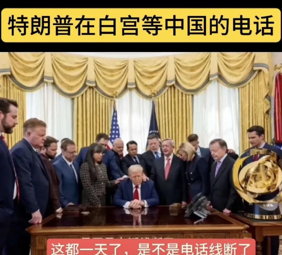 特朗普
等的花儿也谢了