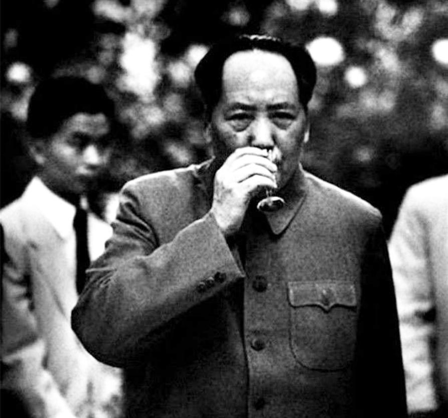 1966年，美国女特工李莎接到一个任务，刺杀毛主席，她千里迢迢来到中国，没想到计
