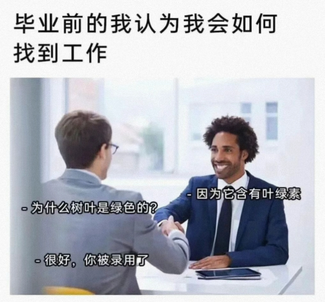 你被录用了