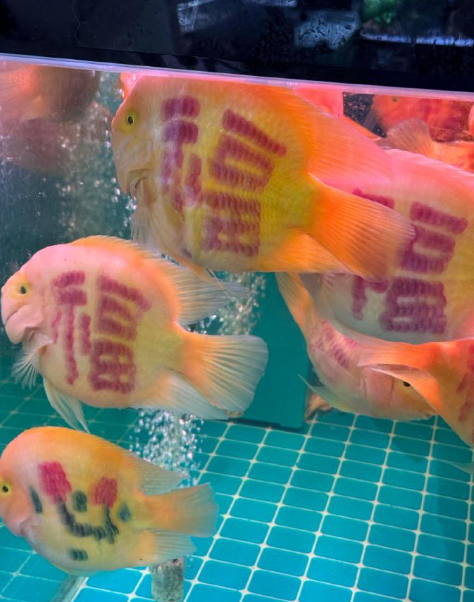 有一种很诡异的中式恐怖感 ​​​