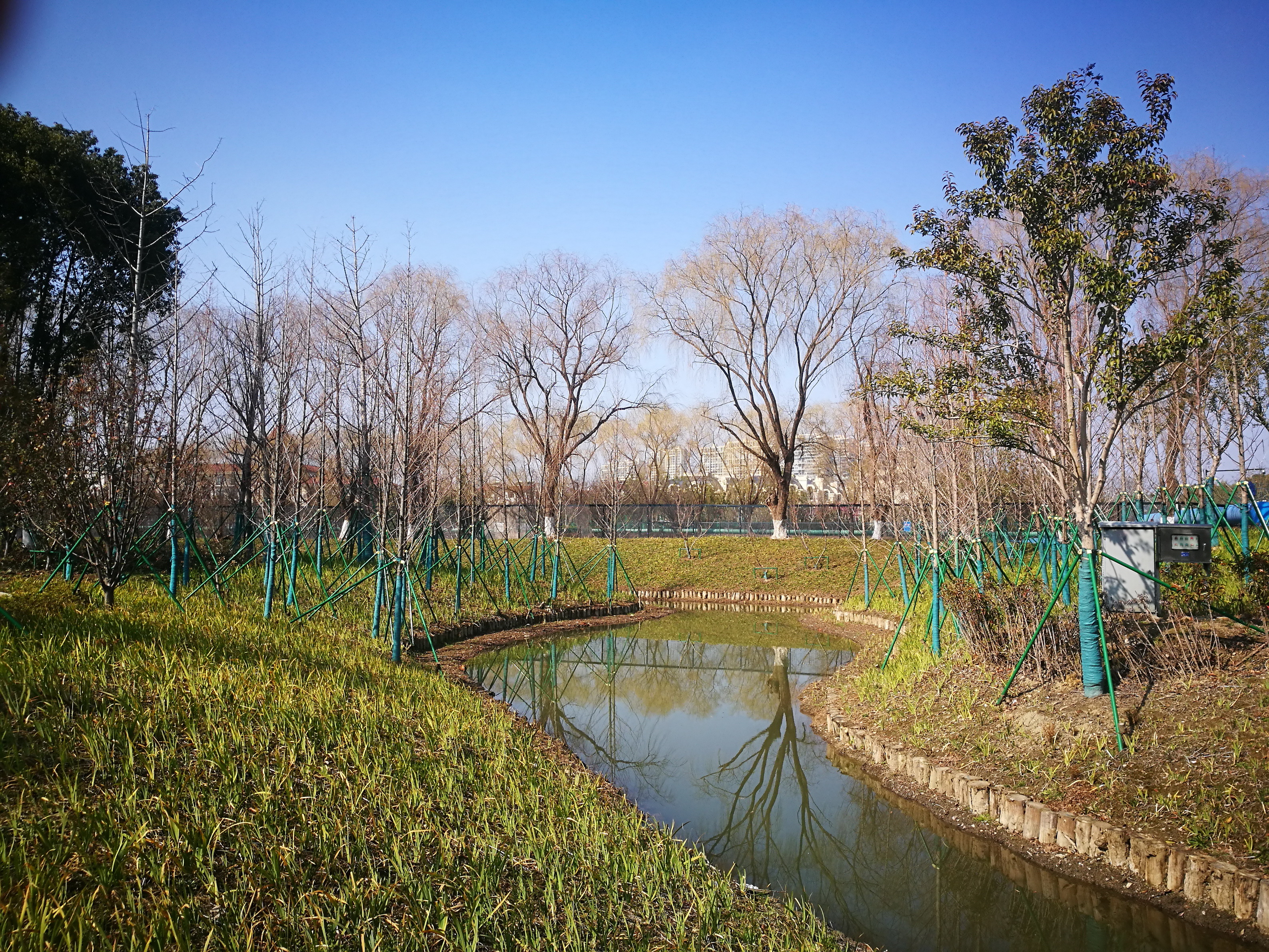 被师生们戏称为“黄调”