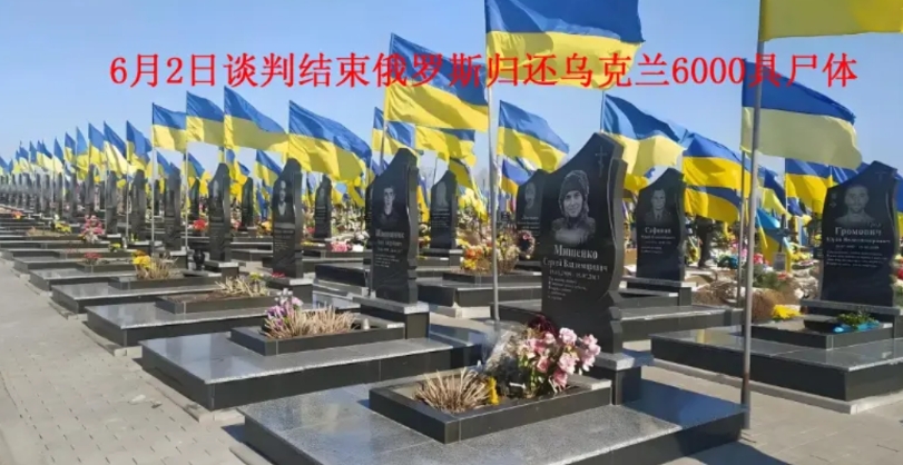 6000具尸体，这是俄罗斯给乌克兰的沉痛一击！

这一操作又有多大的影响！

1