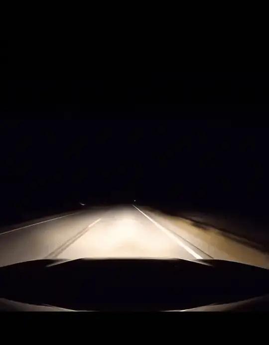 生物挡路必有其因，太让人感动了！
一辆轿车深夜行驶在双向单车道上，突然一只白鸟从
