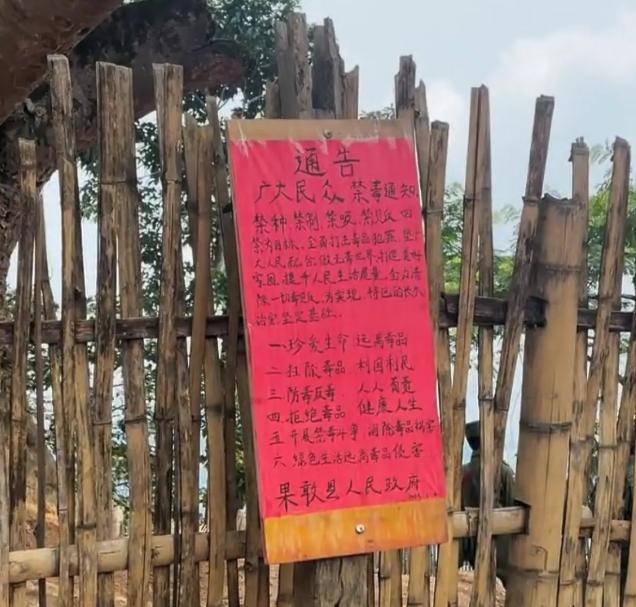 缅北地区的禁毒事业，现在越发紧张。果敢同盟军为了全面清除辖区里的吸毒分子和贩毒集