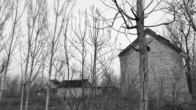 大姑在我家养老，我天天吩咐她干这干那，还要她钱，她却很开心