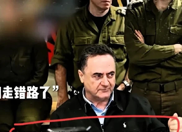 以色列军队竟敢朝外国使团开火











---










