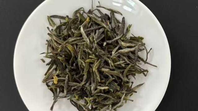 珺景与茶信阳毛尖真实测评