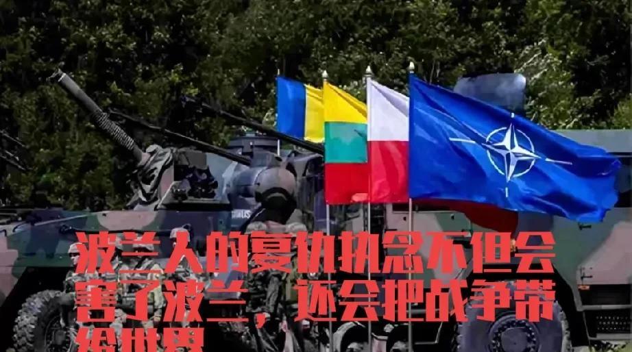 第三次世界大战又要在欧洲开始了，这次导火索是波兰，一个上蹿下跳总把战火往自己身上