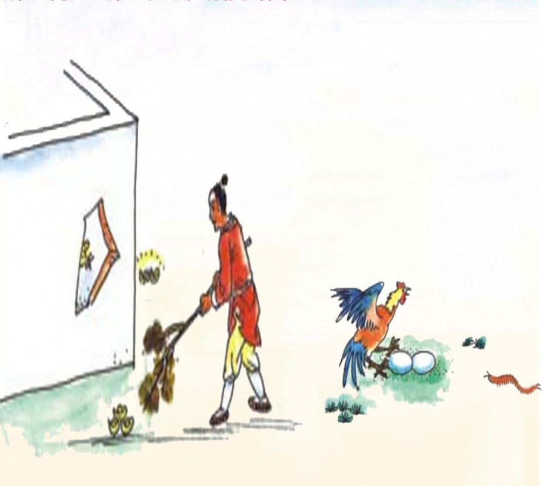 新澳今晚是什么生肖？澳门今天最佳号码选择是什么？