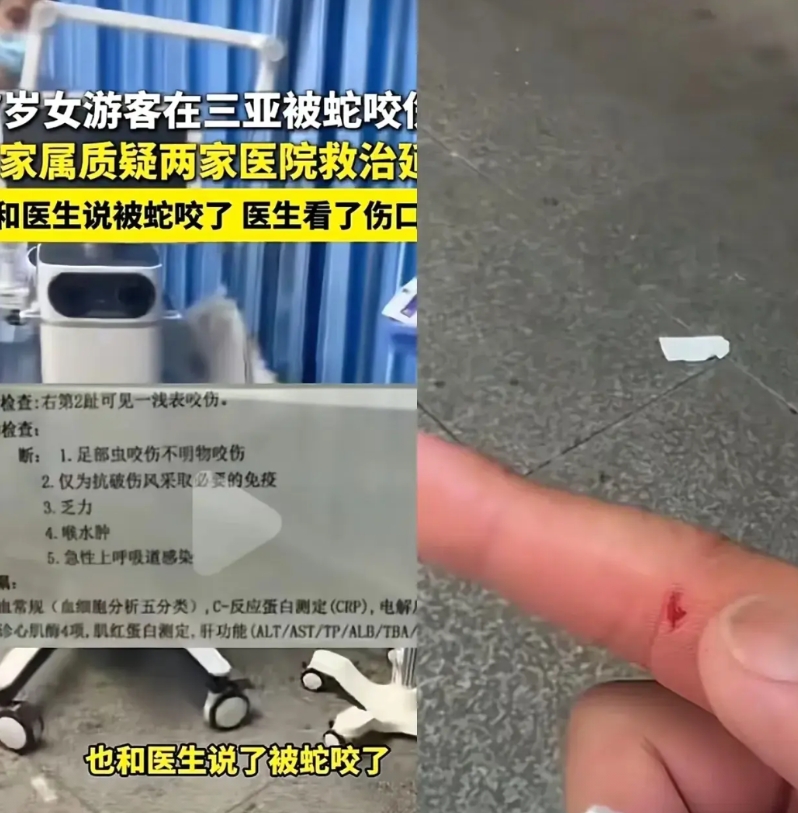 别骂三亚接诊被蛇咬的女子的医生了。我看完科普博主野生动物救助志愿者啊宝的视频，可