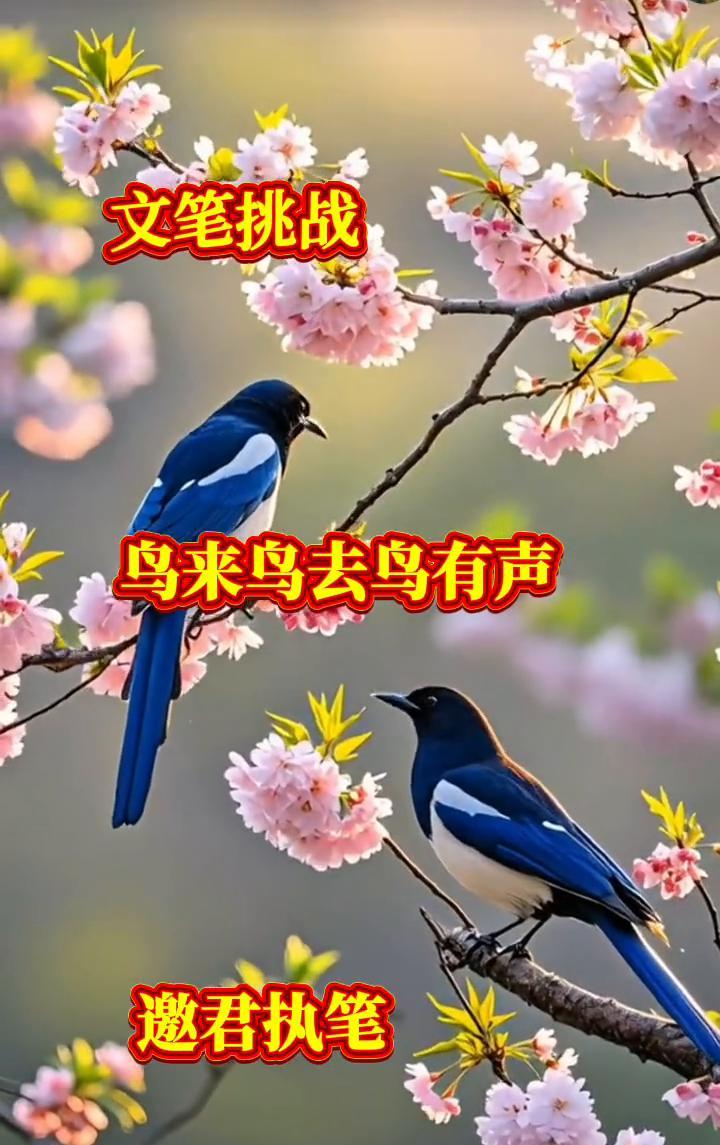 文笔挑战：鸟来鸟去鸟有声。
邀君执笔。