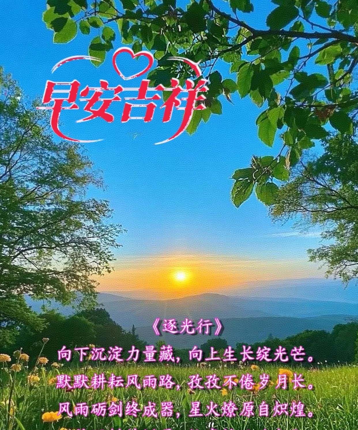 朋友：早安吉祥！
《逐光行》
向下沉淀力量藏，向上生长绽光芒。
默默耕耘风雨路，