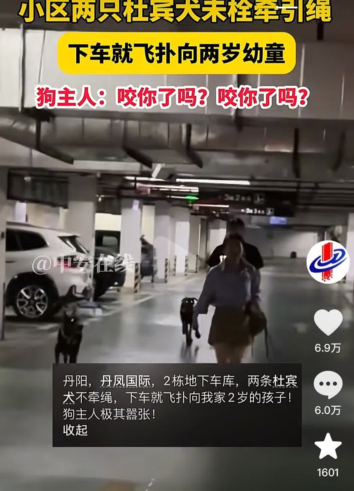 终于见识到了什么叫做“人仗狗势！”
7月18日，江苏丹阳市的某小区地下停车场，