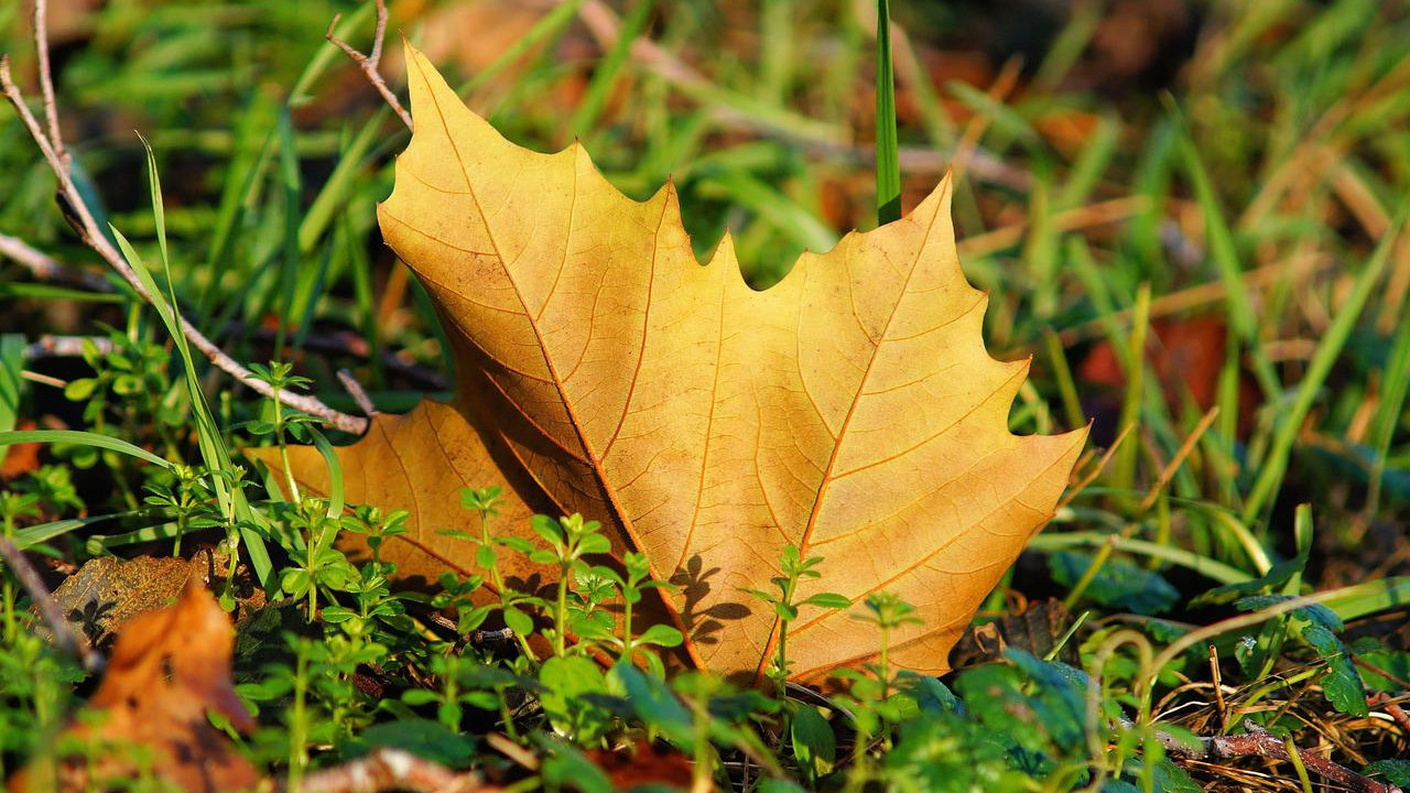 秋天的仪式感，从一条干爽的毛巾开始！