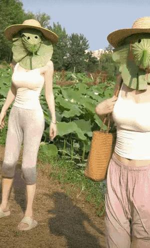 荷叶挺好的，想知道在哪里买？