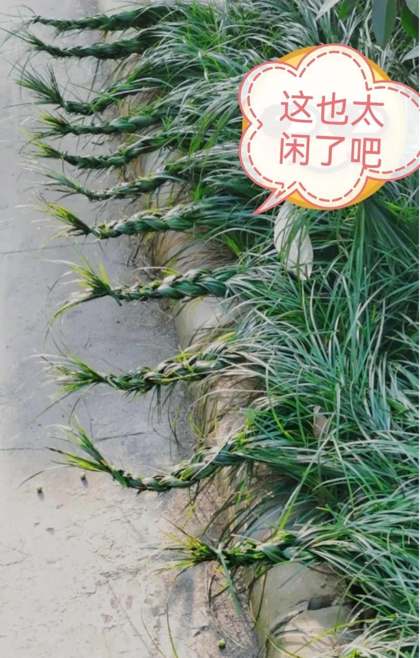 这人得多闲，
一般人还真想不出来。
果然人在捣乱的时候是最不觉得麻烦的。
#很闲