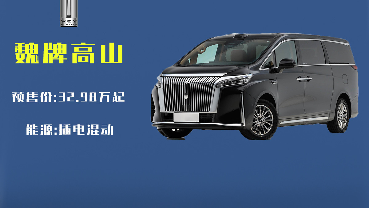 30万级MPV硬核对比：魏牌高山VS腾势D9，谁才是全能型选手？