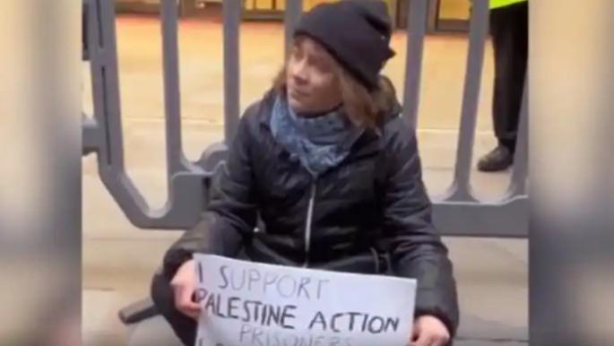 "环保少女"被捕风波：一场理想主义与法律边界的碰撞