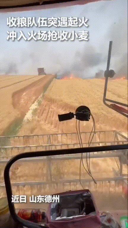 “我的粮仓满了！快给我弄个拉粮车！”河南的这位农机手被人民日报点赞了！农机手跨省
