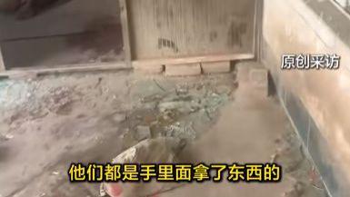 狗咬人被摔死案开庭：狗主人带9人理论遭反杀，网友评论一边倒